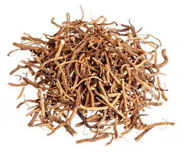 Valerian root for medical use. Isolated. Tagar Root