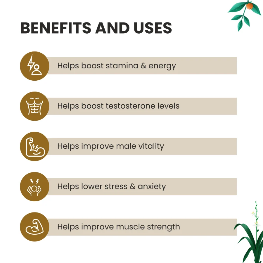 Menz X Health Benefits