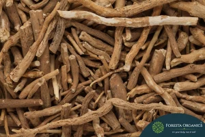 Ashwagandha 1