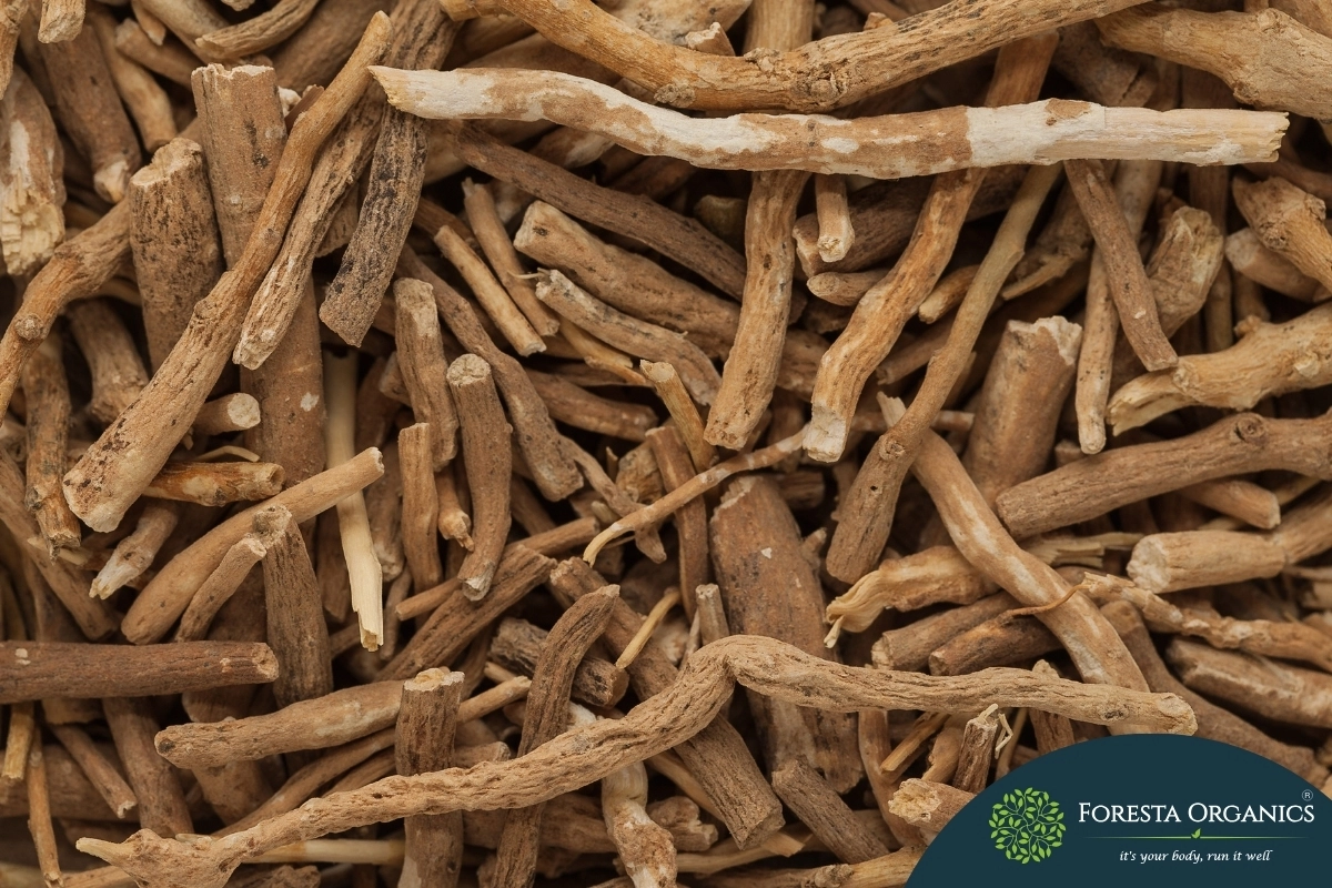 Ashwagandha 1 Ashwagandha 1