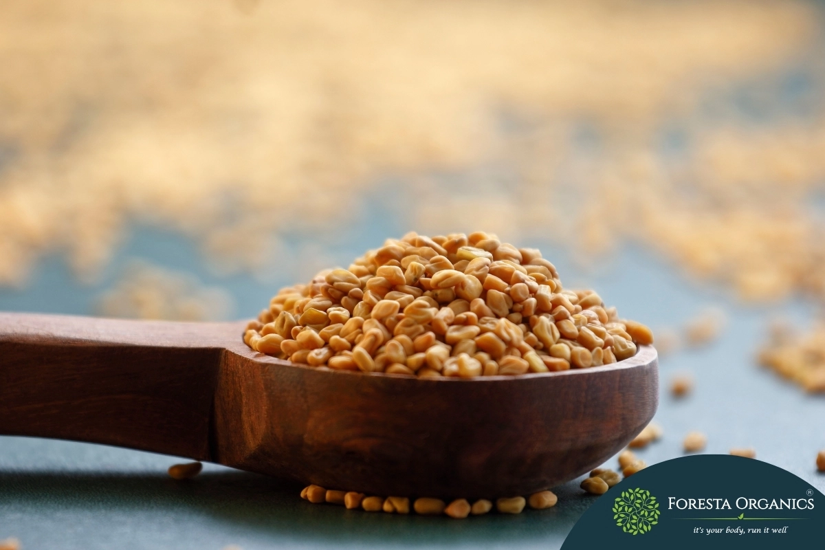 Fenugreek 1 Fenugreek 2