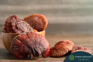 Ganoderma 3