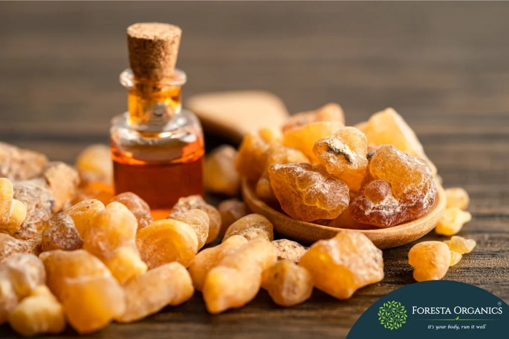 Boswellia