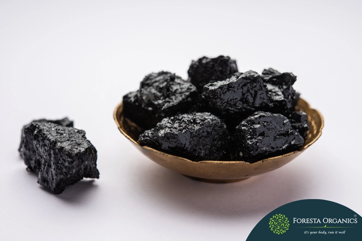 Shilajit 1 Shilajit