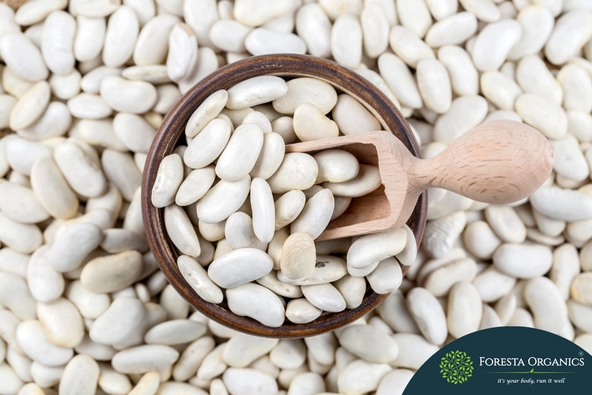 White Kidney Bean 1 White Kidney Beans